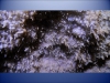 slide_43