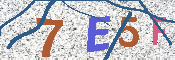 Kontrolný kód